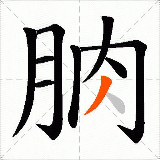 朒