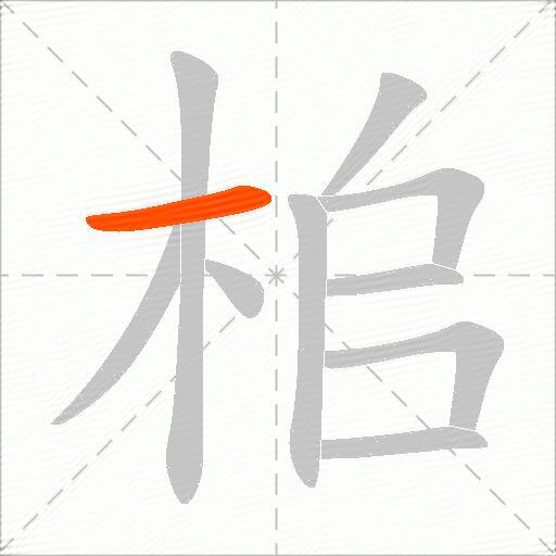 桘