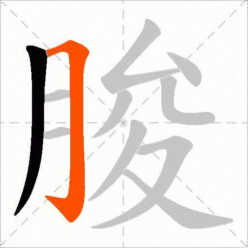朘