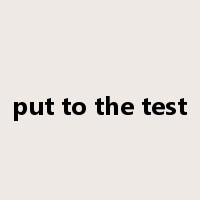 put to the test是什么意思