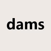 dams是什么意思