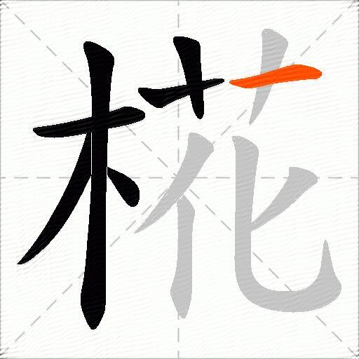 椛