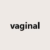 vaginal是什么意思