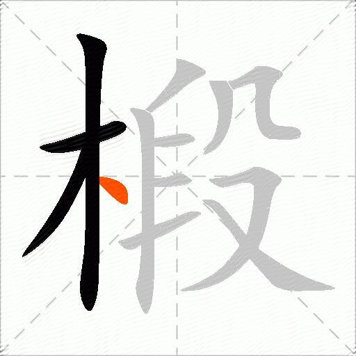 椴