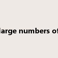 large numbers of是什么意思