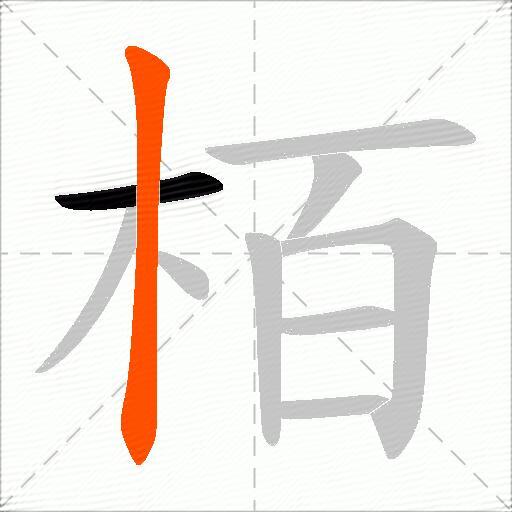 栢