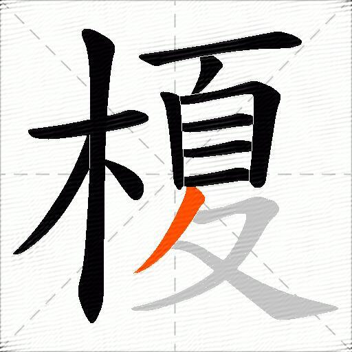榎