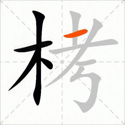 栲