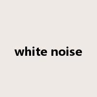 white noise是什么意思