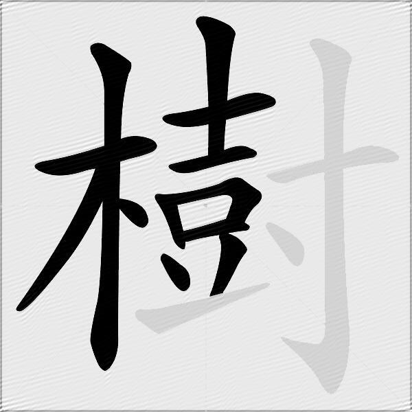 樹