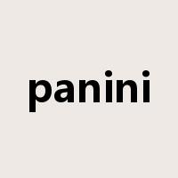 panini是什么意思