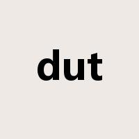 dut是什么意思