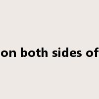 on both sides of是什么意思