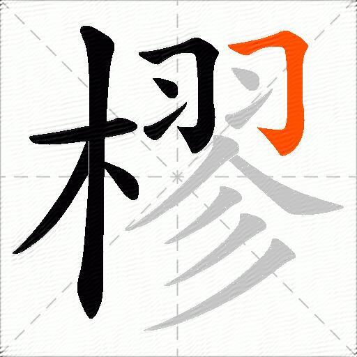 樛