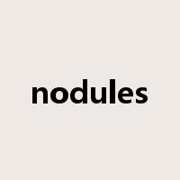 nodules是什么意思