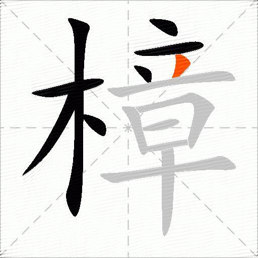 樟