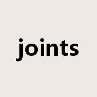 joints是什么意思
