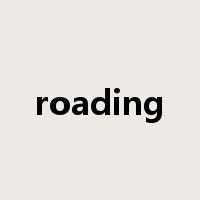 roading是什么意思