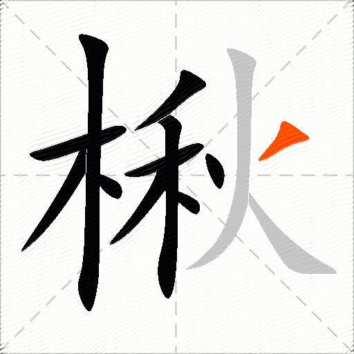 楸