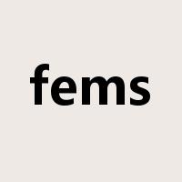 fems是什么意思