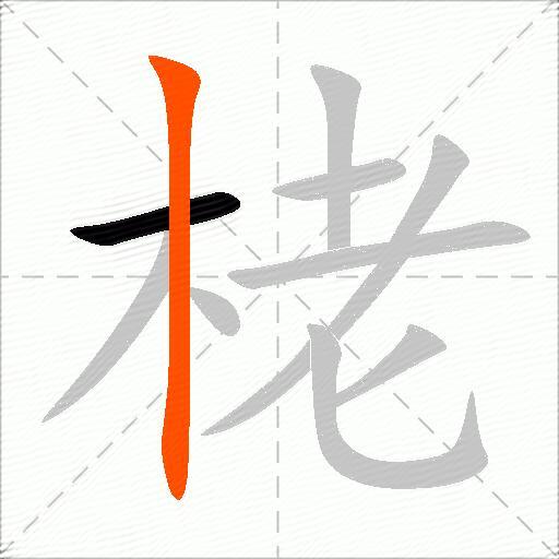 栳