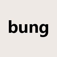bung是什么意思