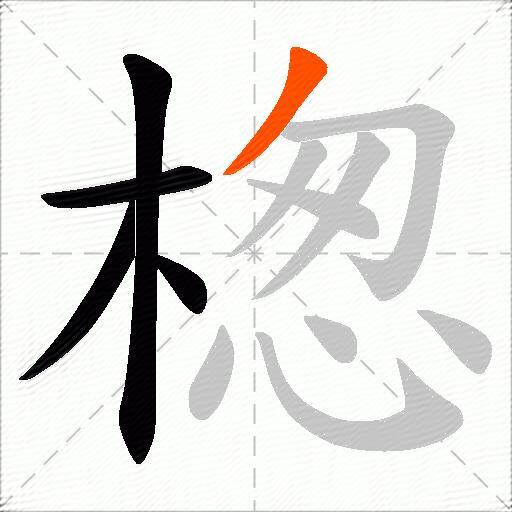 楤