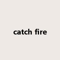 catch fire是什么意思