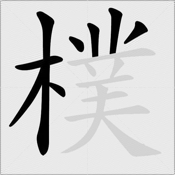 樸