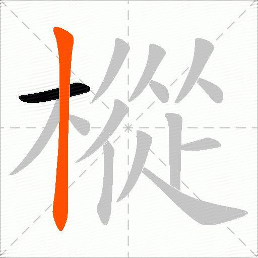 樅