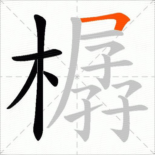 樼