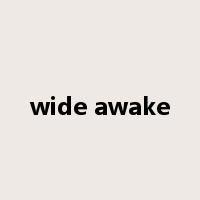 wide awake是什么意思