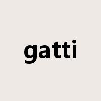 gatti是什么意思