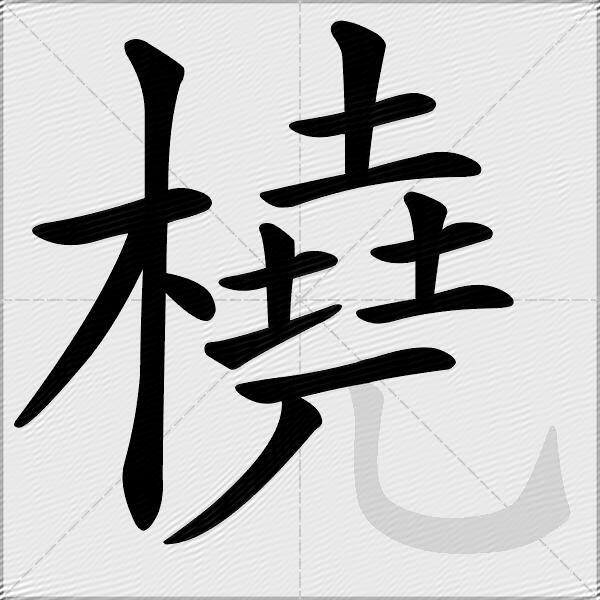 橈