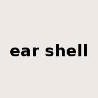 ear shell是什么意思