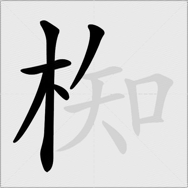 椥