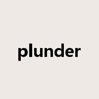 plunder是什么意思