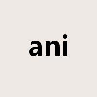 ani是什么意思