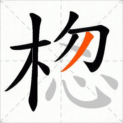楤