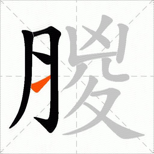 朡