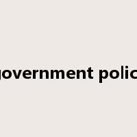 government policy是什么意思