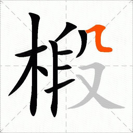 椴