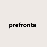 prefrontal是什么意思
