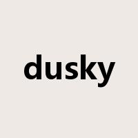 dusky是什么意思