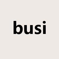 busi是什么意思