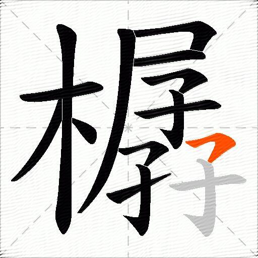 樼