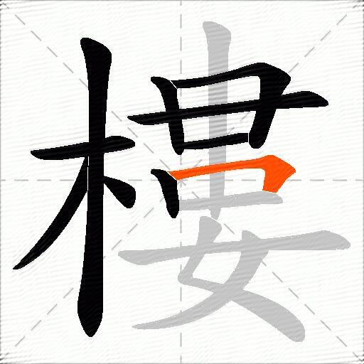 樓