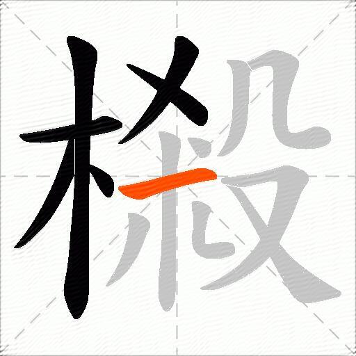 樧