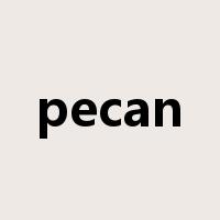 pecan是什么意思