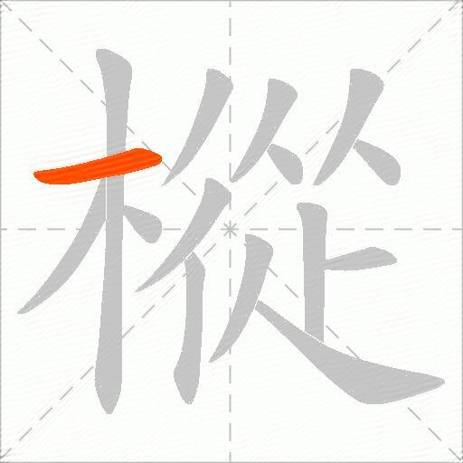 樅